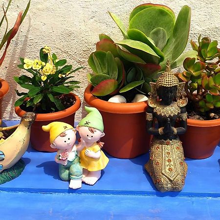ロケタス・デ・マル Casa Amelia Bed & Breakfast エクステリア 写真